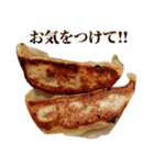 毎日使える面白餃子（個別スタンプ：11）