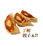 毎日使える面白餃子（個別スタンプ：14）