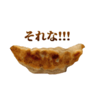 毎日使える面白餃子（個別スタンプ：15）