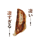毎日使える面白餃子（個別スタンプ：17）