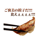 毎日使える面白餃子（個別スタンプ：28）