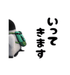 動く！ペンギン。（個別スタンプ：14）