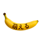 バナナメッセージ-日常6（個別スタンプ：5）