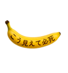 バナナメッセージ-日常6（個別スタンプ：40）