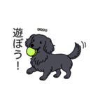 名前入りダックスロングソリッドブラック（個別スタンプ：1）