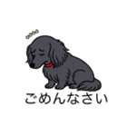 名前入りダックスロングソリッドブラック（個別スタンプ：2）