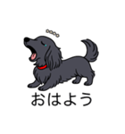 名前入りダックスロングソリッドブラック（個別スタンプ：3）