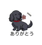 名前入りダックスロングソリッドブラック（個別スタンプ：5）