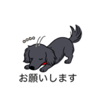 名前入りダックスロングソリッドブラック（個別スタンプ：7）