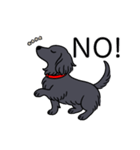 名前入りダックスロングソリッドブラック（個別スタンプ：8）