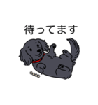 名前入りダックスロングソリッドブラック（個別スタンプ：10）