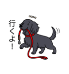 名前入りダックスロングソリッドブラック（個別スタンプ：11）