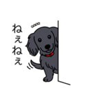 名前入りダックスロングソリッドブラック（個別スタンプ：12）