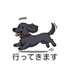 名前入りダックスロングソリッドブラック（個別スタンプ：13）