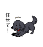 名前入りダックスロングソリッドブラック（個別スタンプ：15）