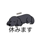 名前入りダックスロングソリッドブラック（個別スタンプ：16）