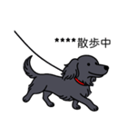 名前入りダックスロングソリッドブラック（個別スタンプ：17）