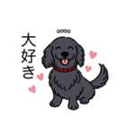 名前入りダックスロングソリッドブラック（個別スタンプ：18）