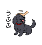 名前入りダックスロングソリッドブラック（個別スタンプ：19）