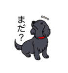 名前入りダックスロングソリッドブラック（個別スタンプ：20）