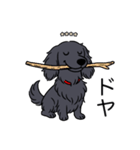 名前入りダックスロングソリッドブラック（個別スタンプ：21）