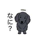 名前入りダックスロングソリッドブラック（個別スタンプ：22）