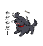 名前入りダックスロングソリッドブラック（個別スタンプ：23）