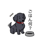 名前入りダックスロングソリッドブラック（個別スタンプ：24）