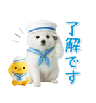 ⚡飛び出すポメラニアンの「夏」の毎日（個別スタンプ：2）