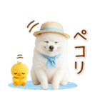 ⚡飛び出すポメラニアンの「夏」の毎日（個別スタンプ：3）