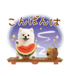 ⚡飛び出すポメラニアンの「夏」の毎日（個別スタンプ：7）