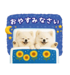⚡飛び出すポメラニアンの「夏」の毎日（個別スタンプ：8）