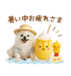 ⚡飛び出すポメラニアンの「夏」の毎日（個別スタンプ：16）