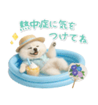 ⚡飛び出すポメラニアンの「夏」の毎日（個別スタンプ：17）