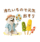 ⚡飛び出すポメラニアンの「夏」の毎日（個別スタンプ：18）