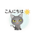 色々な猫5-1 短毛-立ち耳-グレー（個別スタンプ：5）