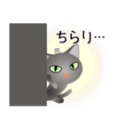 色々な猫5-1 短毛-立ち耳-グレー（個別スタンプ：6）
