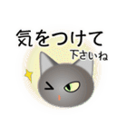 色々な猫5-1 短毛-立ち耳-グレー（個別スタンプ：14）