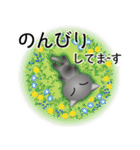 色々な猫5-1 短毛-立ち耳-グレー（個別スタンプ：19）