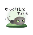 色々な猫5-2 短毛-垂れ耳-グレー（個別スタンプ：12）
