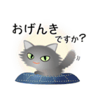 色々な猫5-3 長毛-立ち耳-グレー（個別スタンプ：4）