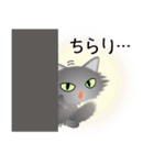 色々な猫5-3 長毛-立ち耳-グレー（個別スタンプ：6）