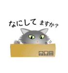 色々な猫5-3 長毛-立ち耳-グレー（個別スタンプ：8）