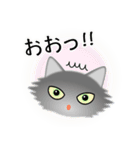 色々な猫5-3 長毛-立ち耳-グレー（個別スタンプ：10）