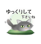 色々な猫5-3 長毛-立ち耳-グレー（個別スタンプ：12）