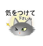 色々な猫5-3 長毛-立ち耳-グレー（個別スタンプ：14）
