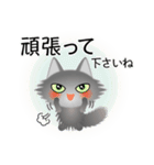 色々な猫5-3 長毛-立ち耳-グレー（個別スタンプ：16）