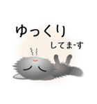 色々な猫5-3 長毛-立ち耳-グレー（個別スタンプ：18）
