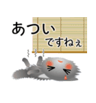 色々な猫5-3 長毛-立ち耳-グレー（個別スタンプ：21）