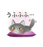 色々な猫5-3 長毛-立ち耳-グレー（個別スタンプ：25）